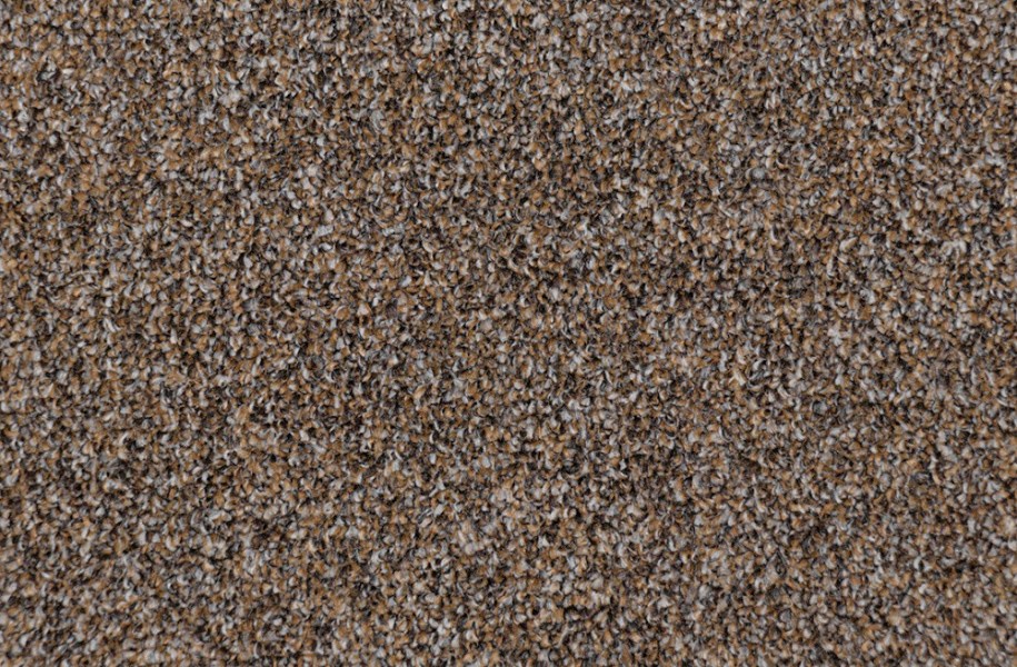 ASSOCIATED WEAVERS Optimize 964 Hnědá