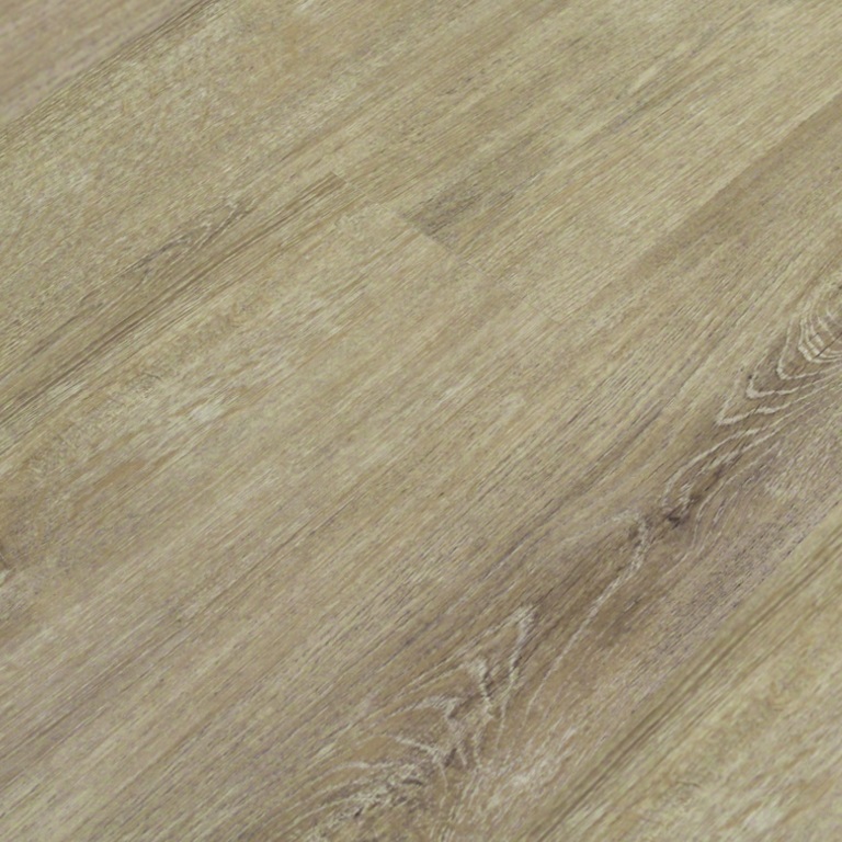 TAJIMA rigid Contract / KL 2010