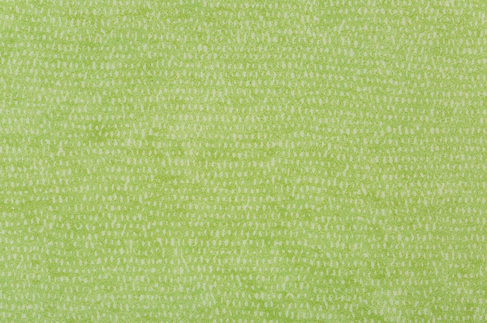 Beauflor Xtreme PVC XTREME Roxanne 550M zelená