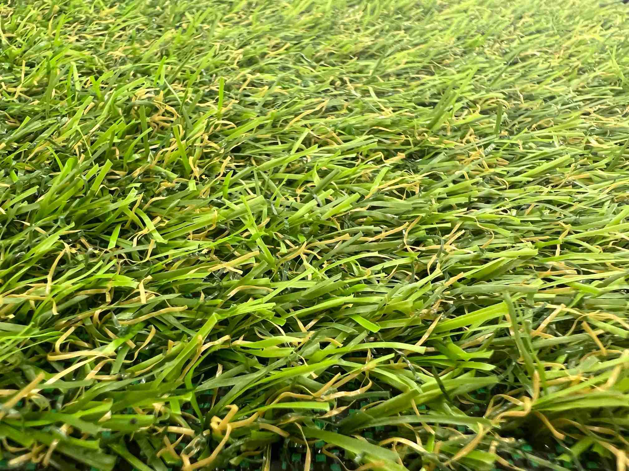 Umělá tráva Top-koberce.cz Basic I šíře 200cm zelená