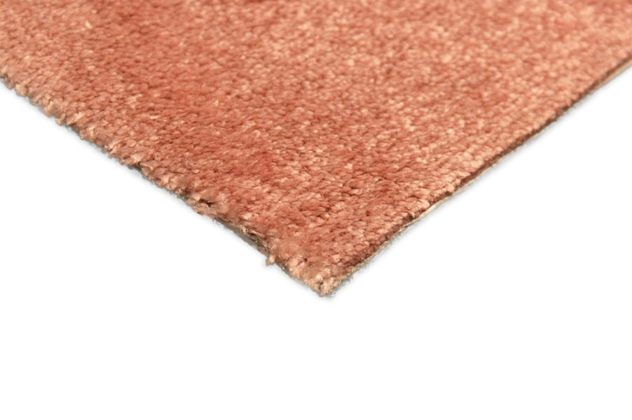 ITC Avelino 57 metráž meruňková