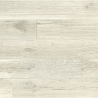 Beaulieu PVC Fortex 2919