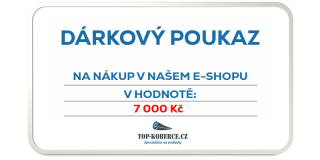 Dárkový poukaz v hodnotě 7000,-Kč