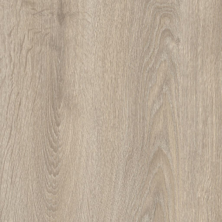IVC Logitex Ultimate 55 ELIAS T47