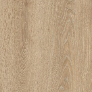 IVC Logitex Ultimate 55 ELIAS T44